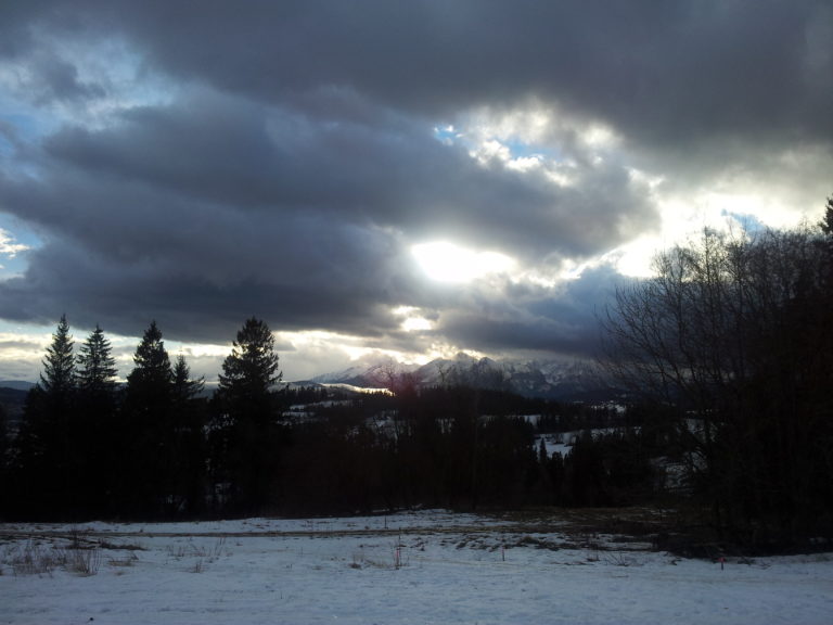 4 kupony. Stawka: Mama, tata, brat, narzeczona