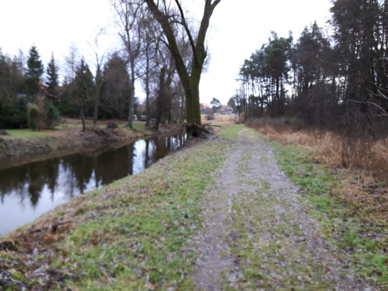 Plan dalszego zdrowienia