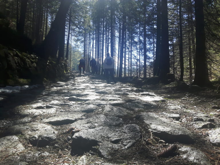 Postanowienia noworoczne