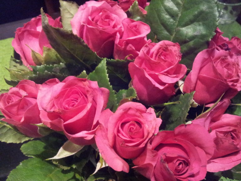 Czym byłoby życie bez kobiet…